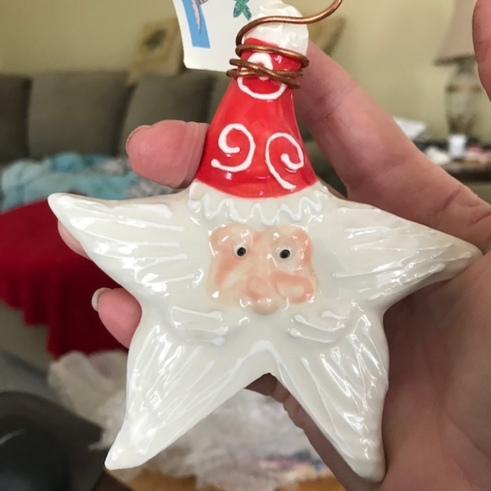 Santa Ornament Christmas Starfish Wall Hanger New